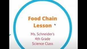 'Food Chain Mini-Lesson'