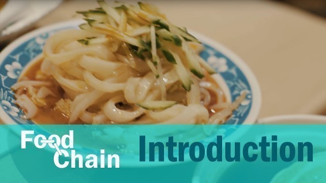 'Food Chain: Introduction'