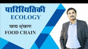 'Food Chain (Ecosystem) | Hindi Medium'