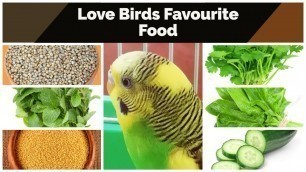 'Love Birds (Budgies/Budgerigars) Favourite Food || LoveBirds Favourite Food List (Part - 1)'