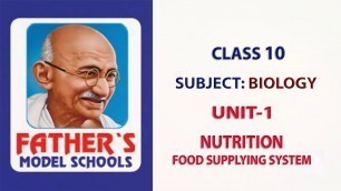 '10th Class | Biology | Lesson 1 | Nutrition - Food Supplying System'