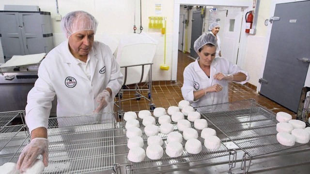 'Food Factory USA 2 : Comment fabrique-t-on le fromage de chèvre ?'