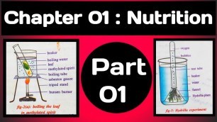 '10th Biology EM | Chapter 1: Nutrition - Food Supplying System | Part 01'