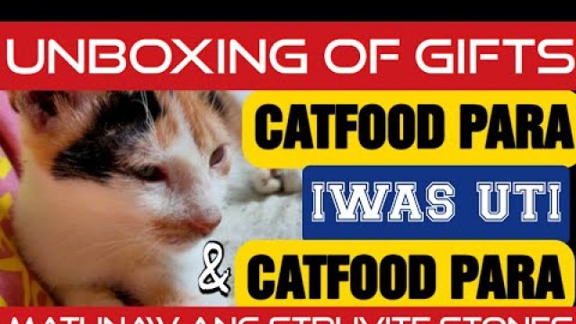 'Unboxing of gifts for the cats | Food para iwas UTI due to blockage and food to treat blockage'