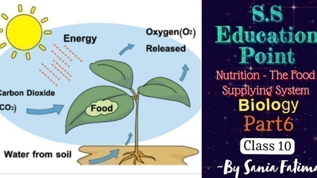 '#Part-6 #Nutrition- The Food Supplying System Class 10th Biology ~By Sania Fatima'