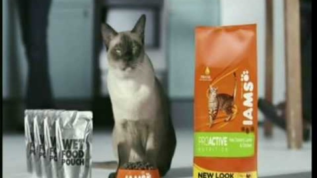 'IAMS Cat Food \'I Am More Than Just A Cat\' Advert.avi'