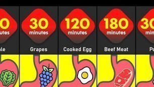 'How Long Foods Stay In Your Stomach | How Long Different Foods Take to Digest | Foods Comparison'