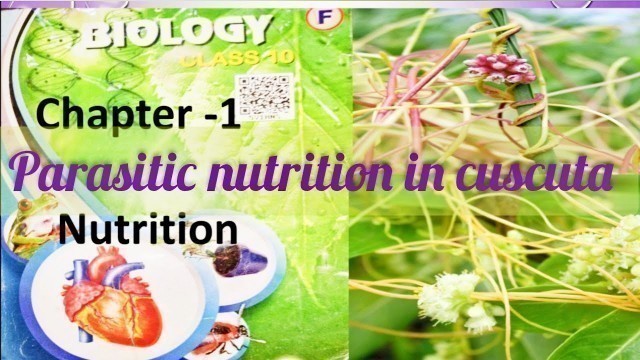 'Nutrition-The Food Supplying System//Parasitic Nutrition in Cuscuta//10th class Biology Lessons//'