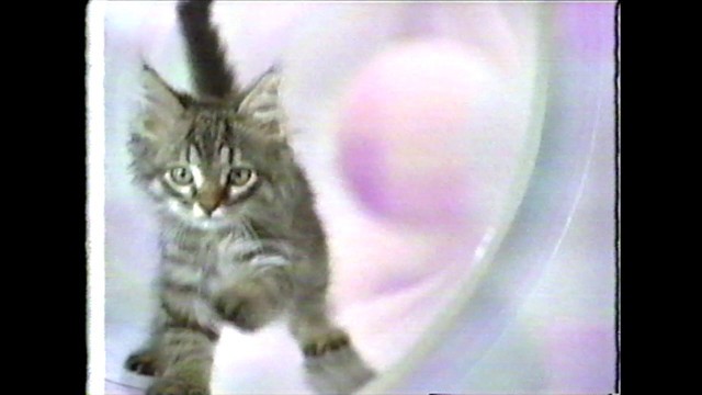 'Cat Food Commercial Purina One (2002)'