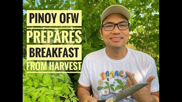 'PINOY OFW PREPARES BREAKFAST FROM HARVEST | PANDEMIC CROPS'