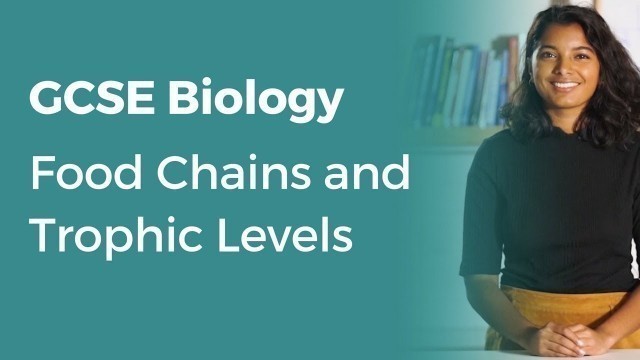 'Food Chains and Trophic Levels | 9-1 GCSE Biology | OCR, AQA, Edexcel'