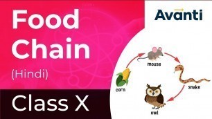 'Food Chain | Our Environment | Class 10 Biology | Avanti Gurukul'