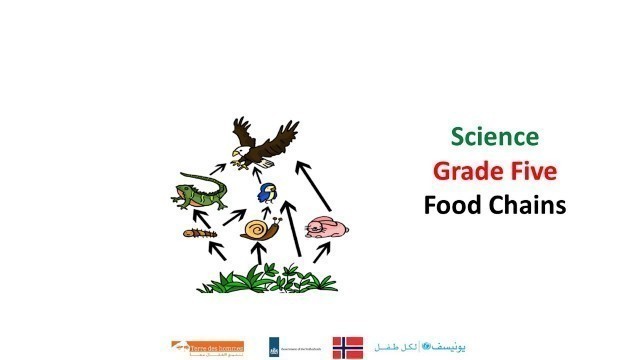 'Ibda3 - GR5 - Science - Food Chains'