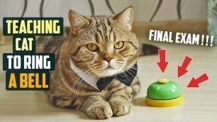 'Teaching cat to ring a bell (Final exam)'