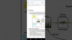 'Food Chain and Food Web (class X)'
