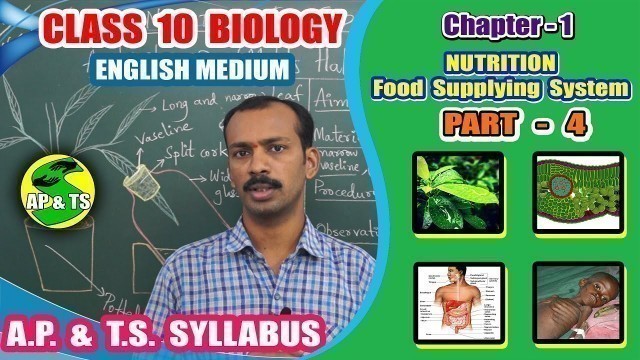 'Nutrition – Food Supplying System (Part-4) || Activity-2 | Mohl’s Half Leaf Experiment ||'