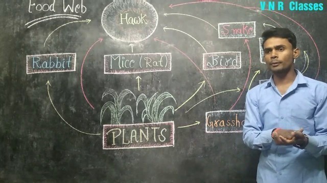 'Food Web/Zoology, B.Sc 3  year //by- Prahalad Sir'