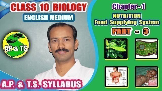 'Nutrition – Food Supplying System (Part-3) || Water and Photosynthesis | Air and Photosynthesis ||'