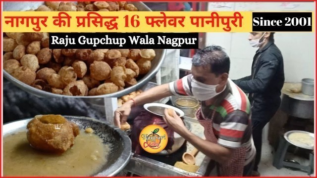 '16 Flavors Panipuri | Raju Gupchup Wale | Nagpur Street Food'