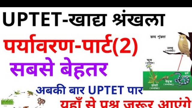 'UPTET #खाद्य श्रृंखला पर्यावरण PART-2 #FOOD CHAIN UPTET CTET ENVIRONMENT'