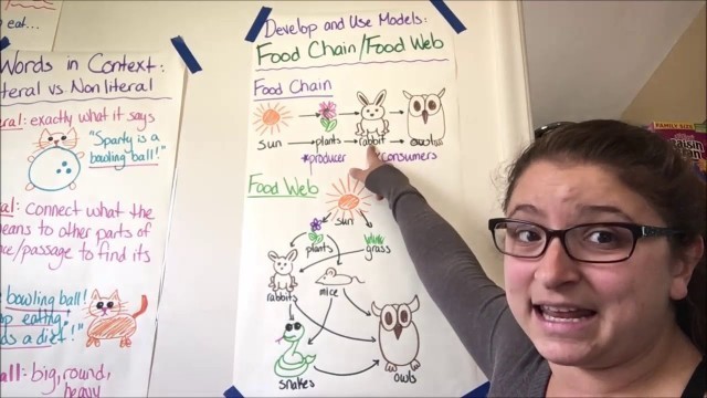 'Science: Topic 3, Models of Food Chains and Food Webs'