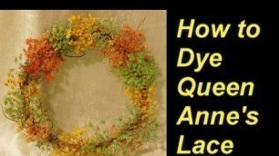 'How to Dye Queen Anne\'s Lace with Food Coloring'