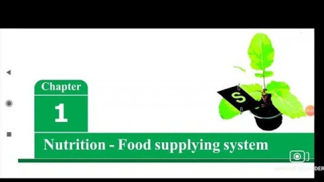 'Nutrition-Food Supplying System||biology||10th class Ap/TS||Neet/DSC biology part-1'