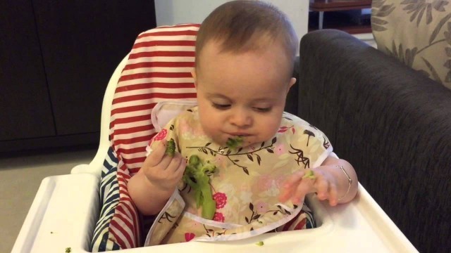 '6 MONTH OLD BABY EATING BROCCOLI - BLW with EMMI'