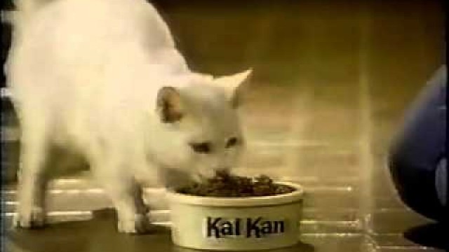 'VINTAGE 70\'S KAL KAN CAT FOOD COMMERCIAL'