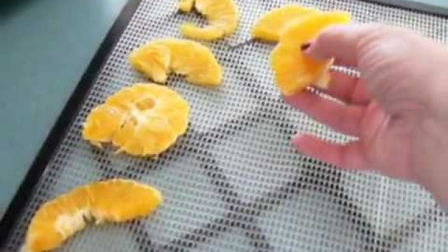 'Dehydrated Oranges & Lemons using Excalibur food dehydrator'