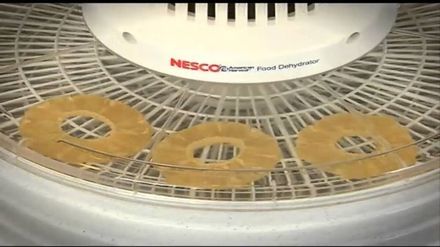 'Nesco FD-a37A American Harvest Food Dehydrator 400-watt Review'