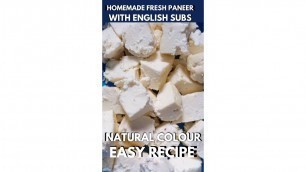 'Home Made fresh Paneer|English Instructions|No Preservative|Protein & Calcium rich|Healthy food'