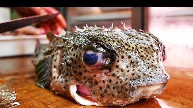 'Japanese Street Food - PORCUPINE FISH Sashimi Japan'