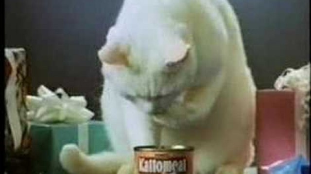 'Kattomeat - 1991 UK Advert'