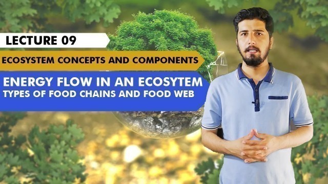 '09 Energy Flow in an Ecosystem, Food Chains, Food Webs | Hindi/Urdu'