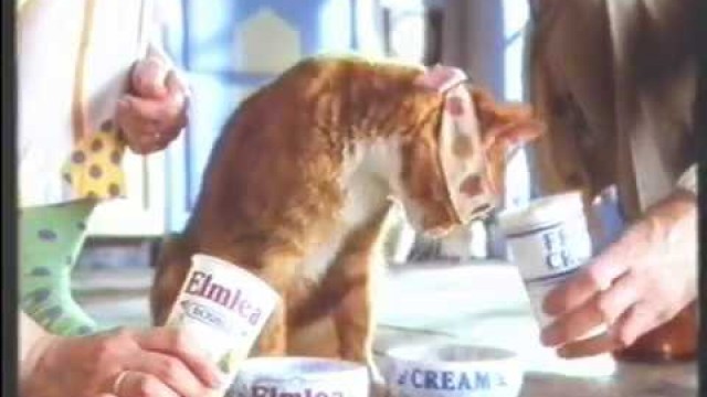 'Elmlea Cream Advert - 1 (1991)'