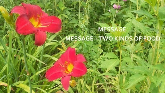 'MESSAGE-- TWO KINDS OF FOOD Aug 01 2021'