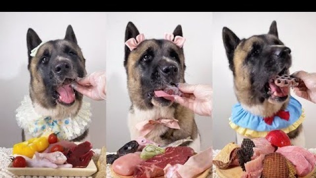 'ASMR Dog Eating food | Dog Reviews Food | Eating Raw Food | Eat Vegetable | Satisfying Eating Sounds'