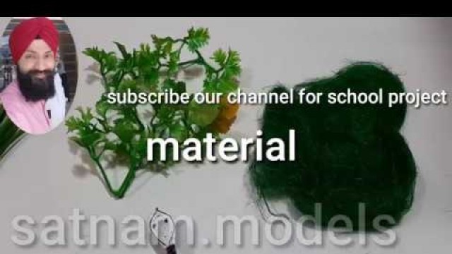 'Food Chain model for school project || how to make food chain model'