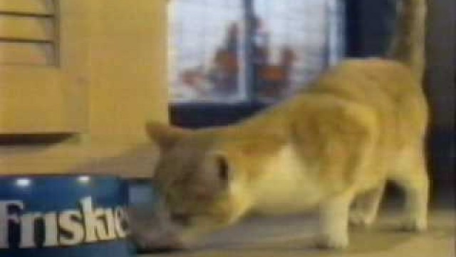 '1987 Friskies Dry Cat Food Commercial'