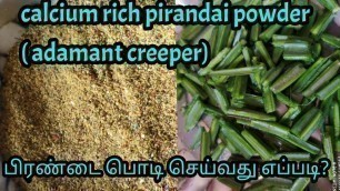 '#Calcium rich food# pirandai powder/ #பிரண்டை பொடி . plant growing ideas link 