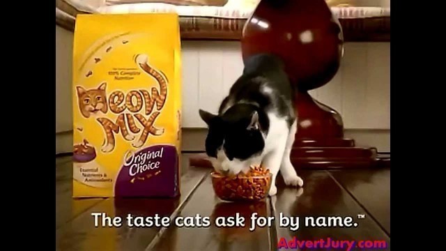 'Meow Mix - Piano Playing Cat (Advert Jury)'