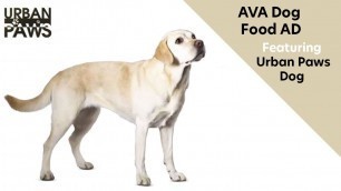 'AVA Breed Specific Dog Food advert featuring Urban Paws UK Dogs'