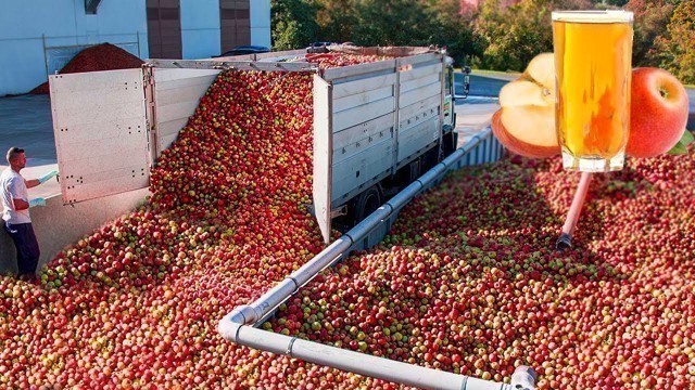 'How Apple Juice Is Made In Factory | Modern Fruit Juice Making Technology | Food Factory'