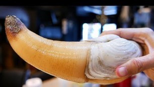 'Japanese Street Food - GIANT GEODUCK CLAM Japan Seafood'