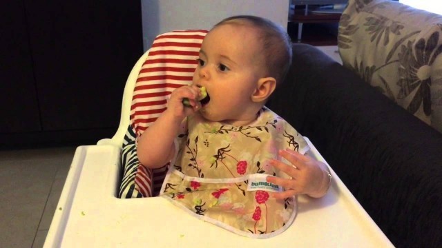 '6 MONTH OLD BABY EATING AVOCADO - BLW with EMMI'