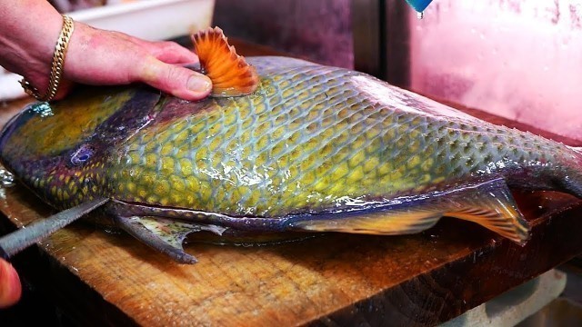 'Japanese Street Food - GIANT TITAN TRIGGERFISH Sashimi Seafood Okinawa Japan'