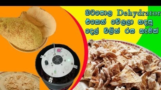 'Dehydrated breadfruit using Batapola good food Dehydrator'