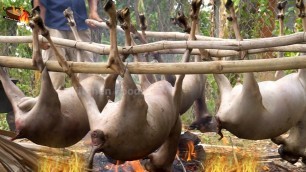 'Cooking Whole Goat with 100 Kinds of Vegetables - Korko 4 Whole Goat for Donation Food in Village'