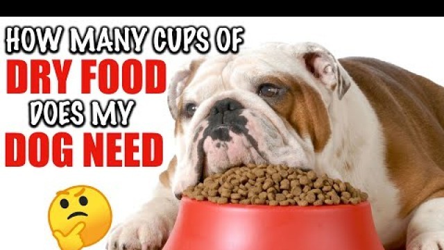 'How Many Cups Of Dry Food Does My Dog Need?'